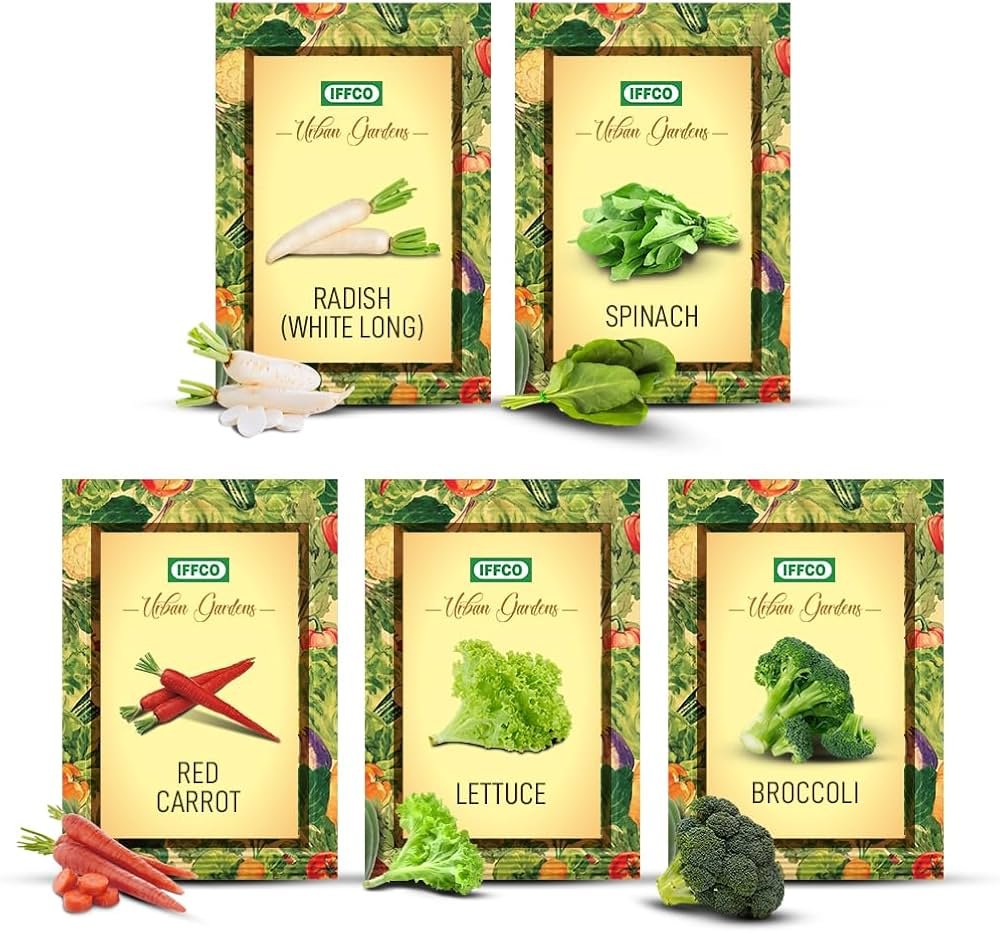 IMG-20251026-WA0005 - Copy