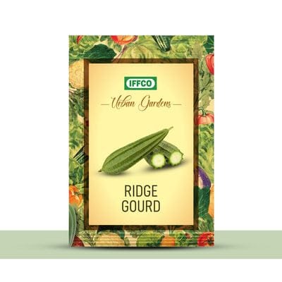 IMG-20251026-WA0006 - Copy