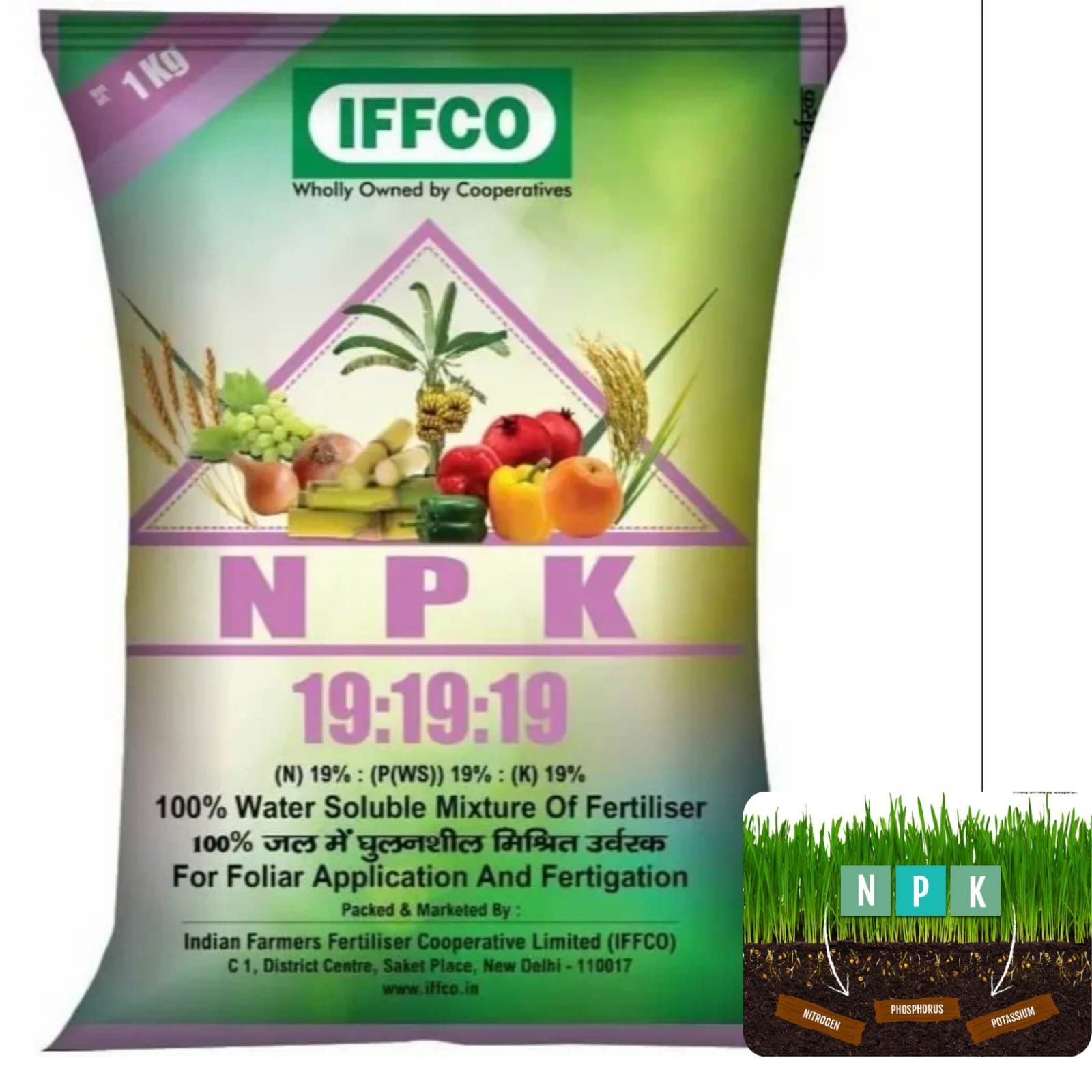 IMG-20251026-WA0011 - Copy