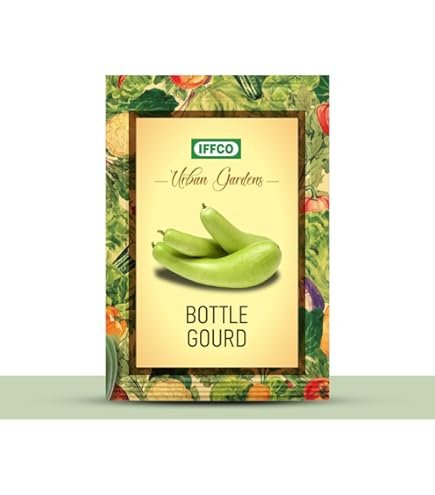 IMG-20251026-WA0013 - Copy